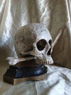 sculptuur, Sakraler Holztotenkopf - 24 cm - Hout, Antiek en Kunst