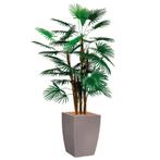 Rhapis Palm kunstplant, H150cm, Ophalen of Verzenden