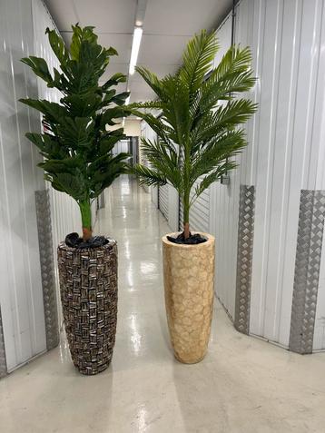 handgemaakte bloesembomen.bloesemboom.Bewerkt op echt hout beschikbaar voor biedingen