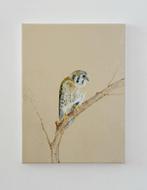 Matthieu van Riel - Falcon on a Branch