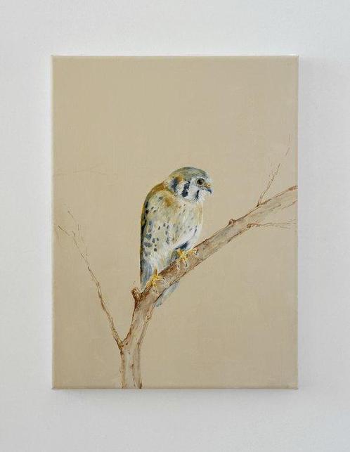 Matthieu van Riel - Falcon on a Branch, Antiek en Kunst, Kunst | Schilderijen | Modern