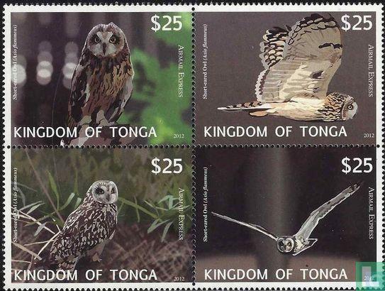 Tonga - Moeraskantuil (Asio flammeus) - 2012, Postzegels en Munten, Postzegels | Oceanië, Postfris, Verzenden