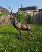 Beeld, Bronze: XL Deer - 171 cm - Brons - 2025, Antiek en Kunst