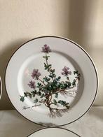 Villeroy & Boch - Tafelservies (6) - Botanica - Porselein -