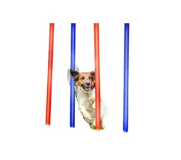 Agility Slalom Set (Honden, Huisdieren, Voor in Huis) beschikbaar voor biedingen