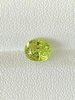 Zonder Minimumprijs - 1 pcs Groen, Geel Chrysoberil - 1.25, Sieraden, Tassen en Uiterlijk, Edelstenen, Nieuw