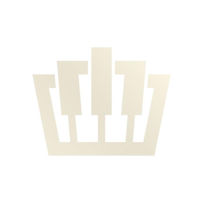 Zwarte Pianos, Muziek en Instrumenten, Piano's