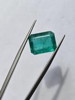 Zonder minimumprijs Groen Smaragd - 6.43 ct - Lotus Gemology, Nieuw
