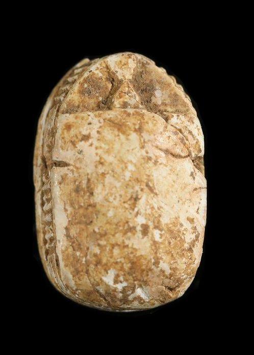 Oude Egypte, Middenrijk Speksteen Scarab met bloemenpatroon, Antiek en Kunst, Antiek | Overige Antiek