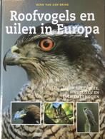 Boek: Roofvogels en uilen in Europa - (als nieuw), Verzenden, Zo goed als nieuw