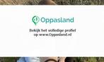 Ik ben Evi en ik zoek oppaswerk in Oosterhout., Diensten en Vakmensen, Dieren | Katten | Verzorging, Oppas en Les