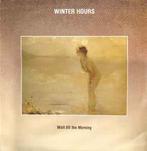 LP gebruikt - Winter Hours - Wait Till The Morning, Cd's en Dvd's, Verzenden, Zo goed als nieuw