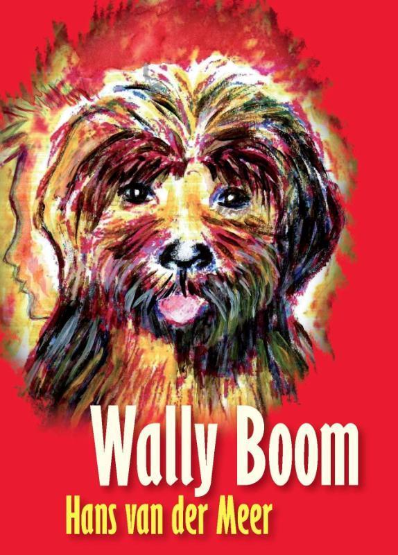 Wally Boom 9789085481874 Hermien van der Meer, Boeken, Romans, Gelezen, Verzenden