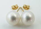 Zonder minimumprijs - Oorstekers - 14 karaat Geel goud Parel, Sieraden, Tassen en Uiterlijk, Antieke sieraden