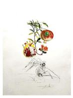 Salvador Dali (1904-1989) - Flordali - Grenade et lAnge