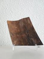 Wolharige mammoet - Gefossiliseerde slagtand - Mammuthus, Verzamelen, Mineralen en Fossielen