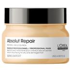 LOréal Professional  Série Expert  Absolut Repair Mask  250, Nieuw, Verzenden