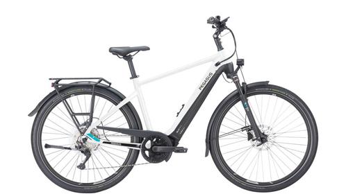 Pegasus Premio EVO 10 Lite 2024, Fietsen en Brommers, Elektrische fietsen, Gebruikt, Verzenden