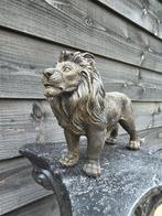 Beeld, Large Lion 32cm - New - 20 cm - Hars, Antiek en Kunst