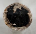 sculptuur, sculpture - 24 cm - Versteend hout, Nieuw
