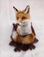 Rode vos Taxidermie hoofdmontage - Vulpes vulpes - 45 cm -