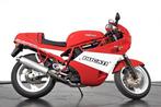 Ducati - Super Sport - 900 cc - 1990, Motoren