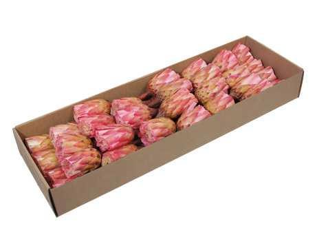 Protea repens suikerbossie cutbrush - erica naturel roze, Huis en Inrichting, Woonaccessoires | Kunstplanten en Kunstbloemen, Nieuw