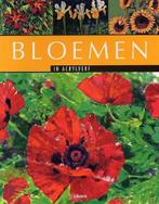 Bloemen in acryl 9789057646881 C. Massey, Verzenden, Zo goed als nieuw, C. Massey