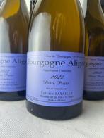 2022 Sylvain Pataille Petit Puits - Bourgogne - 6 Flessen, Nieuw