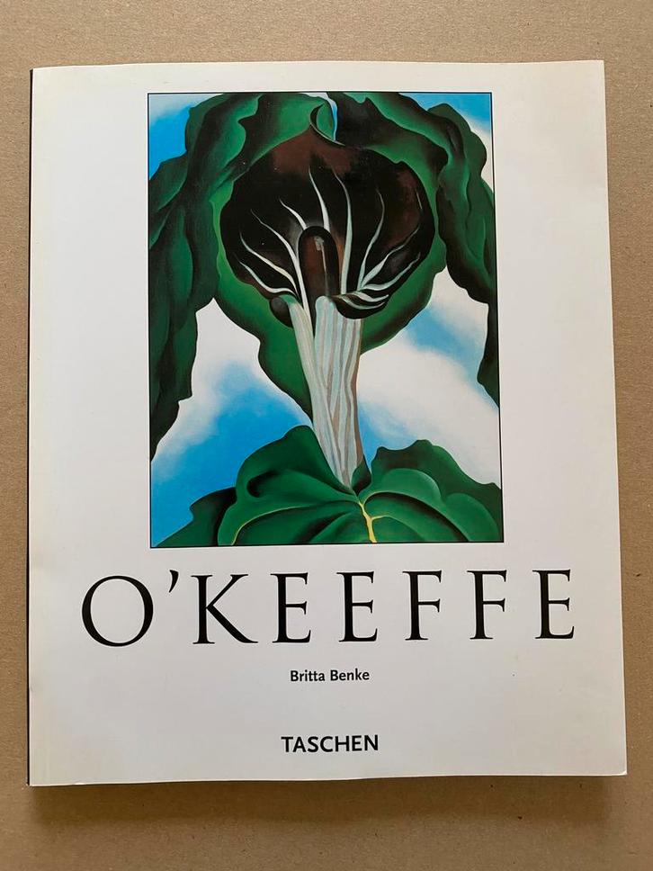 Georgia OKeeffe - Amerikaans Modernisme - Precisionisme, Boeken, Kunst en Cultuur | Beeldend, Zo goed als nieuw, Schilder- en Tekenkunst