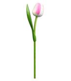 Houten tulp op steel 34 cm White pink, Ophalen of Verzenden, Nieuw