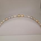 Zonder Minimumprijs - Armband - 18 karaat Geel goud Parel, Sieraden, Tassen en Uiterlijk, Armbanden, Nieuw