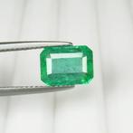 1 pcs Groen Smaragd - 2.38 ct - International Gemological, Nieuw