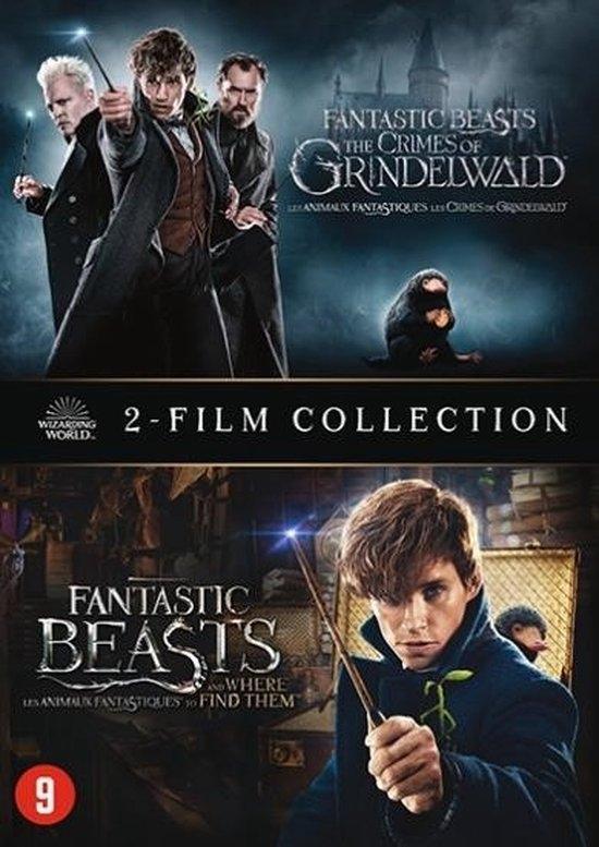 Fantastic Beasts 1&2 (DVD) - DVD, Cd's en Dvd's, Dvd's | Avontuur, Verzenden