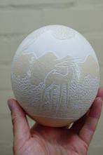 carved Ostrich Egg Taxidermie volledige montage - Struthio, Verzamelen, Nieuw
