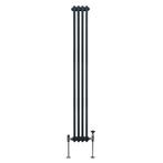 Traditionele 2-kolomsradiator - 1800 x 202 mm -, Doe-het-zelf en Verbouw, Verwarming en Radiatoren, Verzenden, Nieuw