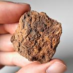 Wolf Creek. Australische meteoriet. Kratermaker. - 26 g