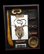 Curiosity cabinet: Rare presentation of the Asmat Travel