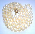 Zonder Minimumprijs - Kraagketting 585 / 14 kt Geelgoud -