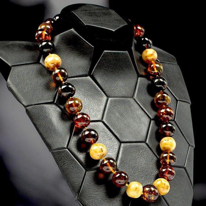 Natuurlijke Baltische barnsteenketting. - Hoogte: 300 mm -, Verzamelen, Mineralen en Fossielen