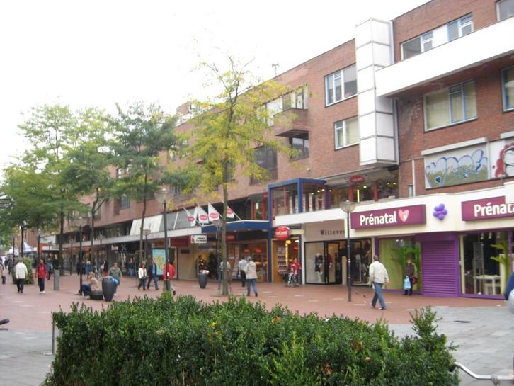 Appartement te huur aan Hermanus Boexstraat in Eindhoven, Huizen en Kamers, Huizen te huur, Noord-Brabant