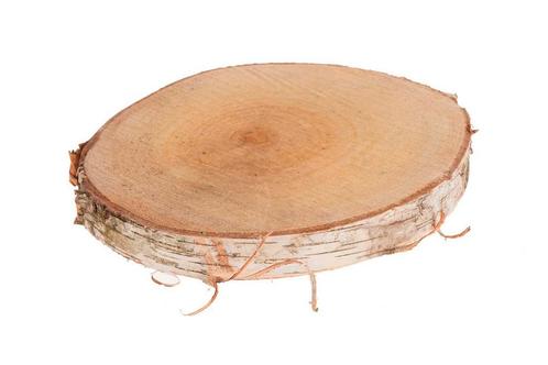 Boomstamschijf Berkenschijf rond +/-13-15 cm. Boomstamschijf, Hobby en Vrije tijd, Knutselen, Nieuw, Ophalen of Verzenden