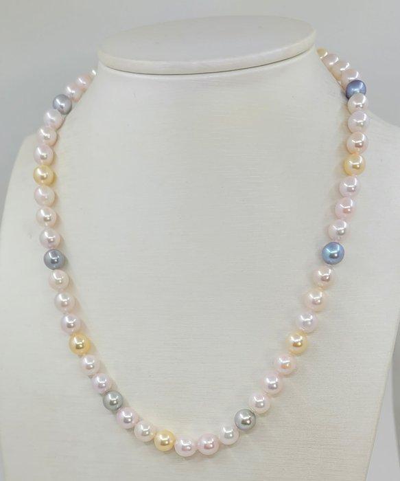 Halsketting 7x7,5 mm Multi Akoya- en gouden parels, Sieraden, Tassen en Uiterlijk, Kettingen