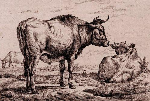 Christian Holm (1804-1846) - The Bull, after Adriaen van de, Antiek en Kunst, Antiek | Overige Antiek