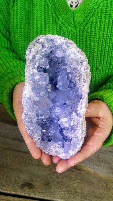 Celestiet Celestijn Druzen Cluster Kristalen - Hoogte: 15 cm, Verzamelen, Dierenverzamelingen