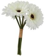 Gerbera Ivory Zijden Bundel 6 stuks, Ophalen of Verzenden, Nieuw