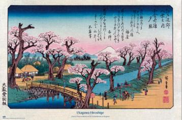 Poster Cherry Trees at Koganei Utagawa Hiroshige 91,5x61cm