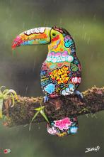 BLACH (Maxime Blachere) - TOUCAN