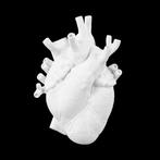 Decoratief ornament - Seletti - Marcantonio Raimondi Malerba