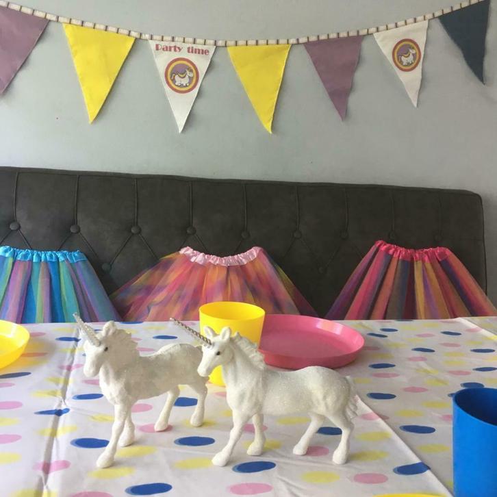 Eenhoorn kinderfeestje Themafeest pakket verhuur, Hobby en Vrije tijd, Feestartikelen, Verjaardag, Feestartikel, Nieuw, Ophalen
